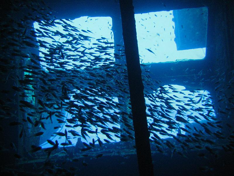 2009-12-03 09-47-23S.JPG